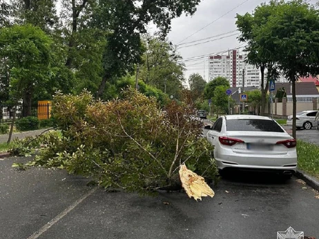 Без світла і повалені дерева: Київ накрив сильний буревій