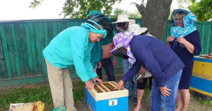 Бджоляр із 30-річним досвідом: про сезон меду, ворожих іноземних бджіл та заміновані пасіки