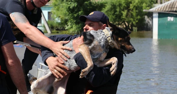Гуменюк: Эвакуация из Херсона продлится еще несколько дней, ситуация сложная