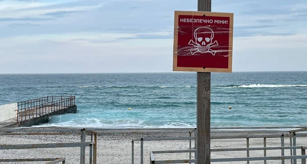 Жителей Одесщины просят не убирать мусор с берега: за неделю течением выбросило шесть мин