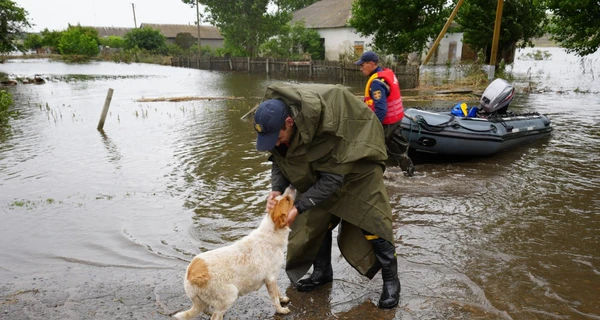 В Херсонской области начали возобновлять энергоснабжение после масштабных затоплений