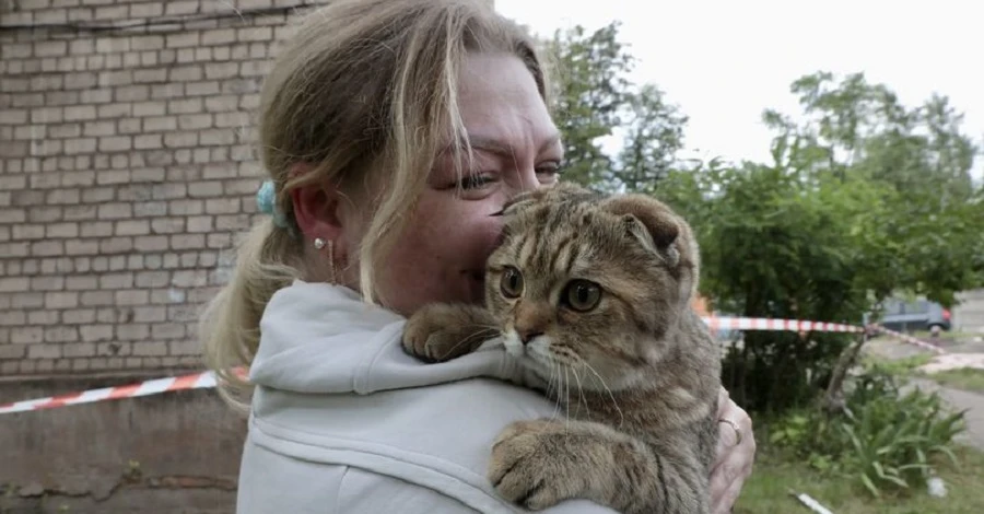 От стресса не мог пить: волонтеры показали кота, спасенного после ракетного удара по Кривому Рогу.