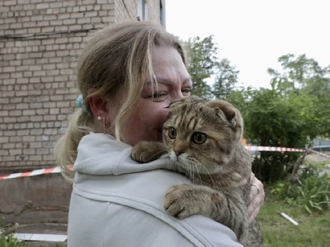 От стресса не мог пить: волонтеры показали кота, спасенного после ракетного удара по Кривому Рогу.