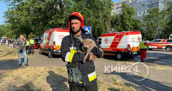 Из частично разрушенной взрывом газа многоэтажки в Киеве спасли двух котов