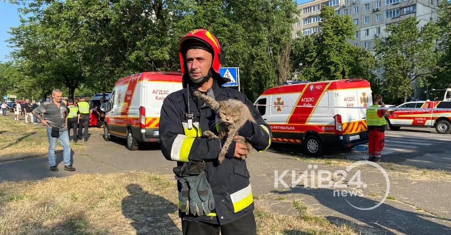 Із частково зруйнованої вибухом газу багатоповерхівки в Києві врятували двох котів