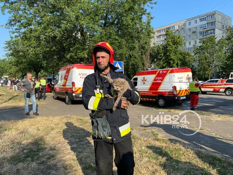 Із частково зруйнованої вибухом газу багатоповерхівки в Києві врятували двох котів