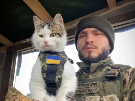 Військовослужбовець знайшов свого зіркового кота Шайбу, якого шукав три тижні