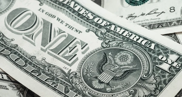 Курс валют в Украине на 7 июля: сколько стоят доллар, евро и злотый
