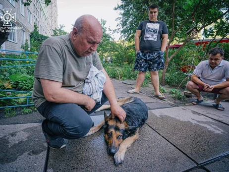 У Києві вогнеборці врятували собаку із палаючої квартири