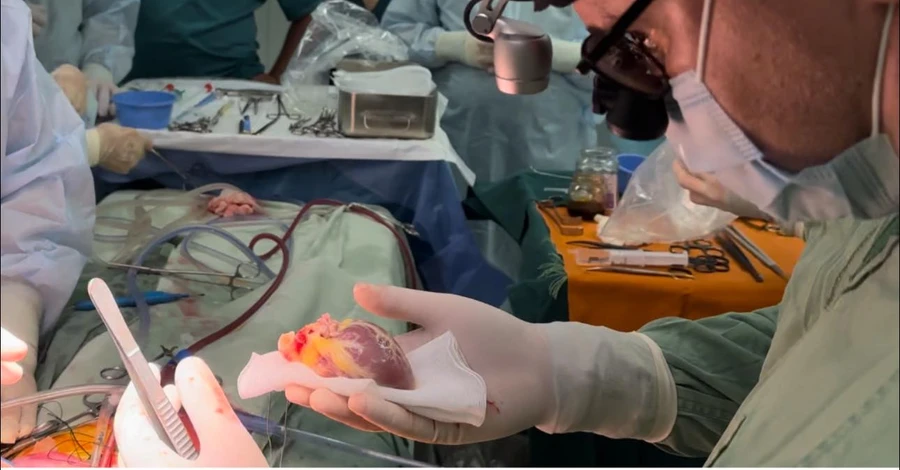 В Україні 6-річній дівчинці пересадили серце загиблого хлопчика