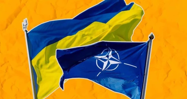 Быстрого вступления Украины в НАТО не будет – нардепы
