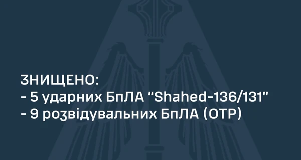 Силы ПВО в ночь на 22 июля сбили все российские дроны-камикадзе 