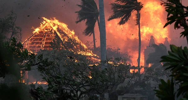 На Гавайях из-за жары горят леса, погибли 36 человек