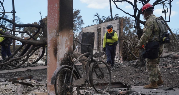 Число погибших от лесных пожаров на Гавайях достигло 89 и продолжит расти