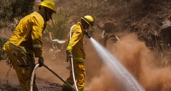В результате лесных пожаров на Гавайях погибли уже почти 100 человек
