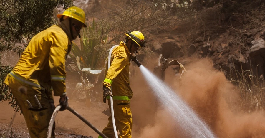 Внаслідок лісових пожеж на Гаваях загинули вже майже 100 людей