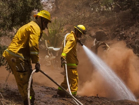 Внаслідок лісових пожеж на Гаваях загинули вже майже 100 людей