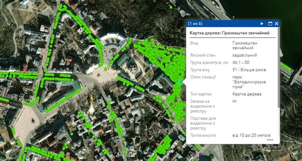 В Киеве для учета и защиты «оцифровали» более 100 тысяч деревьев