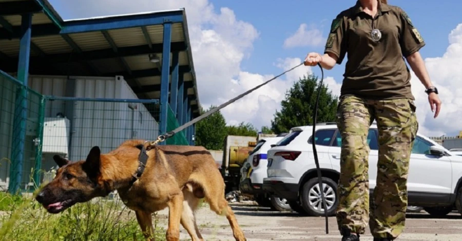 В Украину приехали собаки из ЕС, которые будут работать на деоккупированных территориях