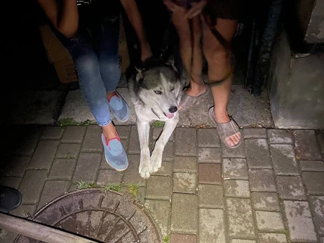 В Ровно пес спас хозяев от пожара