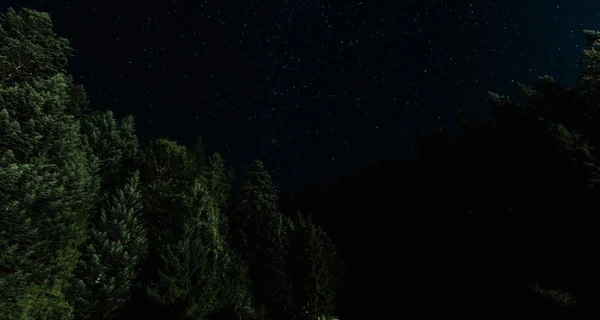 В Крыму ночью звучали взрывы, РФ сообщила об атаке 42 БПЛА