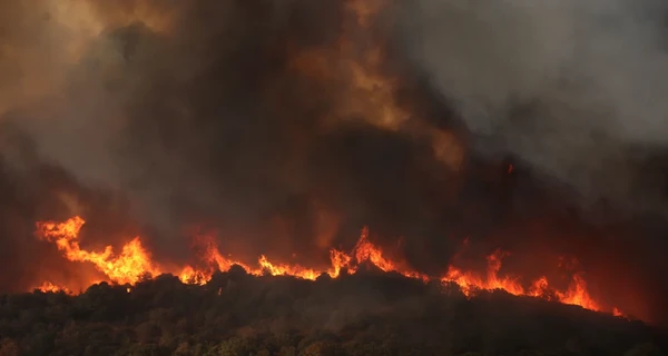 Масштабные лесные пожары в Греции: 79 человек арестовали из-за поджогов 
