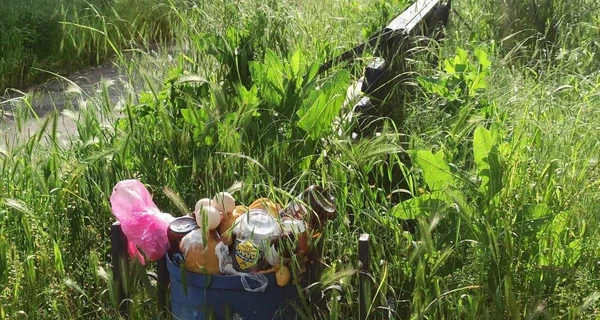 Горсовет Мариуполя: Окупированный город утонул в мусоре и зарос травой 