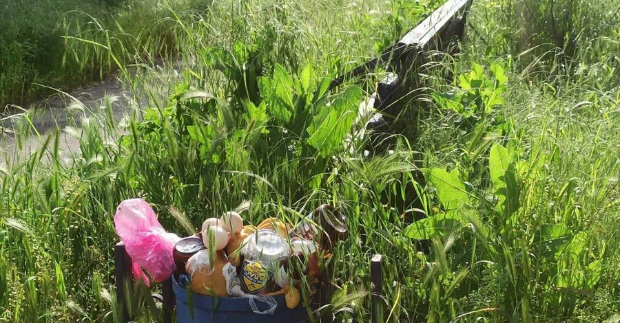Горсовет Мариуполя: Окупированный город утонул в мусоре и зарос травой 