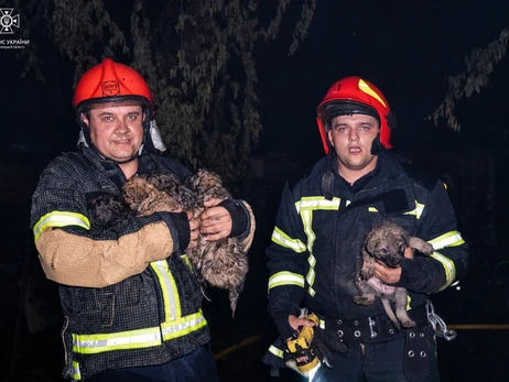 Во время пожара в хмельницком ресторане чуть не погибли шесть щенков