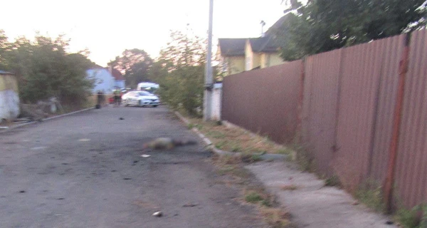 Под Киевом два брата подорвались на гранате, один погиб