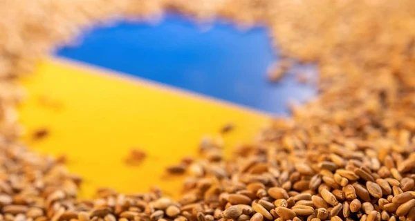 Первое судно с украинским зерном прибыло в Босфор, прорвав блокаду 