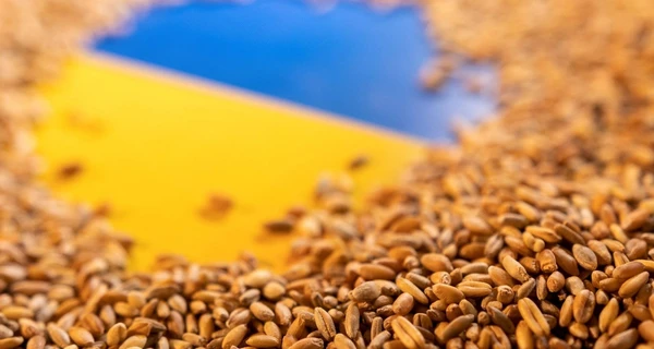 У Мінекономіки розповіли про умови відкликання позовів України до СОТ через зерно