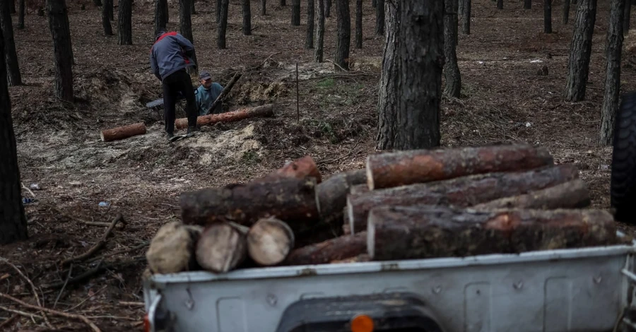 Держлісагентство розробить ціну на дрова для різних регіонів
