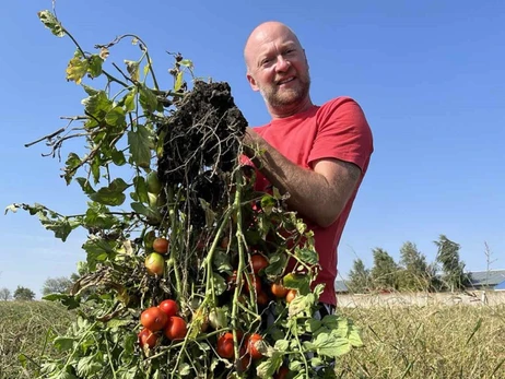 В Одесской области вырастили куст томатов со 192 плодами