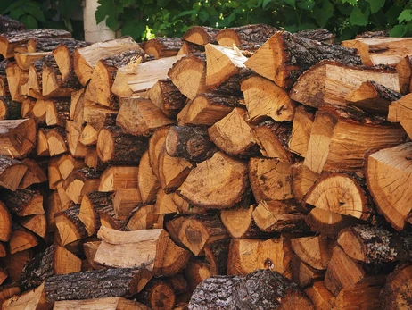 Факт. Какие дрова лучше для отопления?