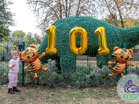 Одесский зоопарк: Готовимся к зиме с расчетом, что снова будут отключать свет