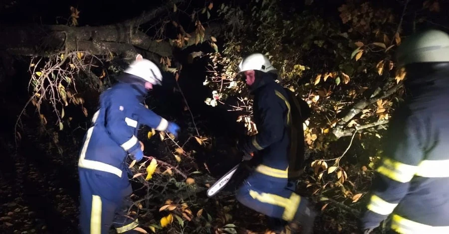 Ветер частично обесточил несколько областей и повалил деревья в Киеве (обновлено)