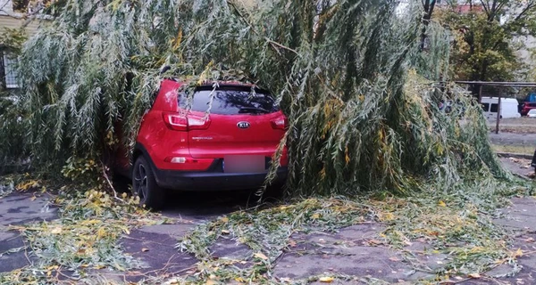 В результате ураганного ветра в Киеве погибли двое мужчин, пять человек госпитализированы