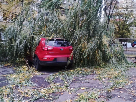 В результате ураганного ветра в Киеве погибли двое мужчин, пять человек госпитализированы