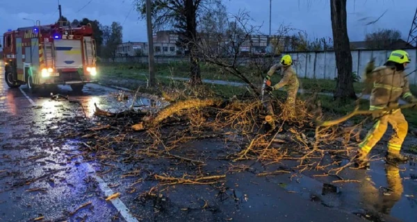 Непогода в Украине: в результате урагана погибли четыре человека, почти 2 тысячи населенных пунктов без света