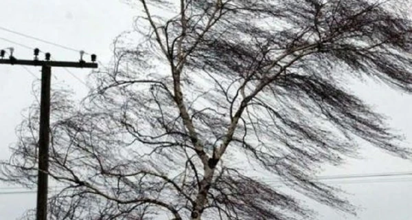 В Україні оголосили штормове попередження, радять не ходити під деревами та бігбордами