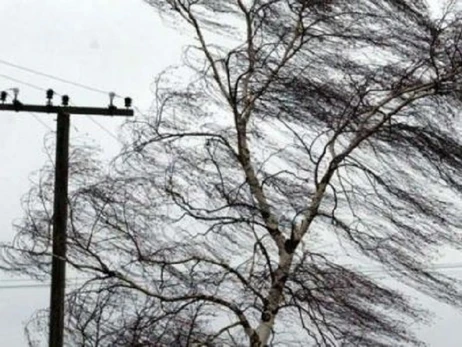 В Україні оголосили штормове попередження, радять не ходити під деревами та бігбордами