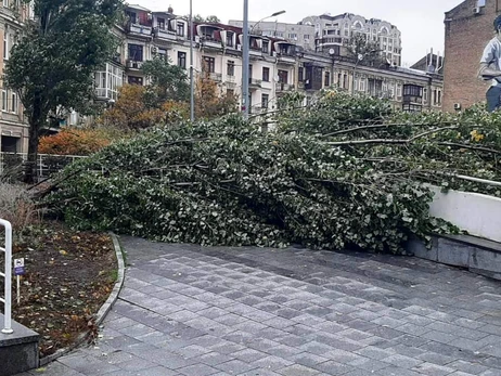 Из-за урагана в Киеве упало беспрецедентное количество деревьев — более 1110