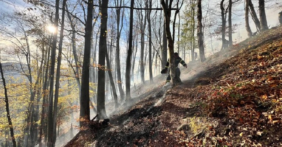 Около 50 спасателей тушат пожар на территории национального парка на Буковине