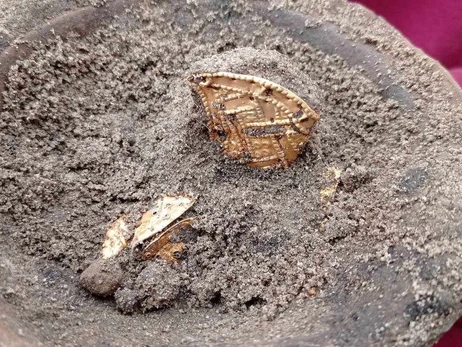 На Київщині археологи знайшли унікальні золоті прикраси часів Гетьманщини