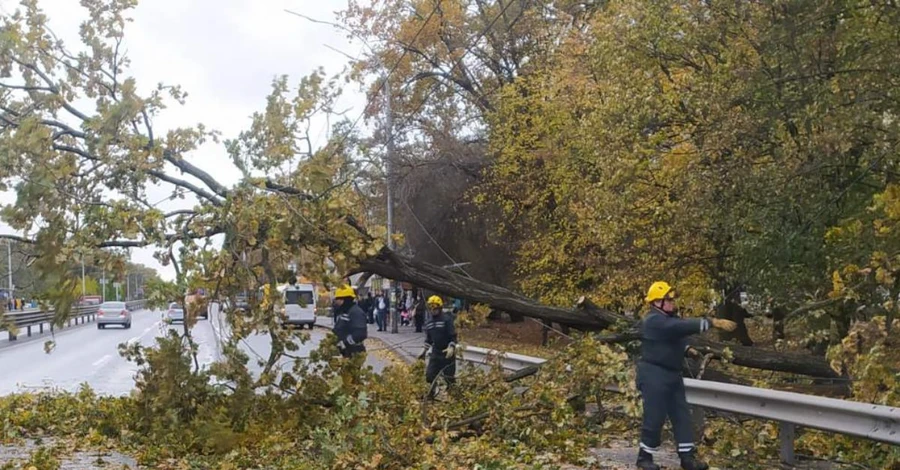 На Полтавщині через негоду – аварійні відключення електромереж