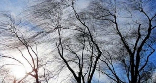 Погода в Україні 3 листопада: синоптики попередили про шквальний вітер на заході країни