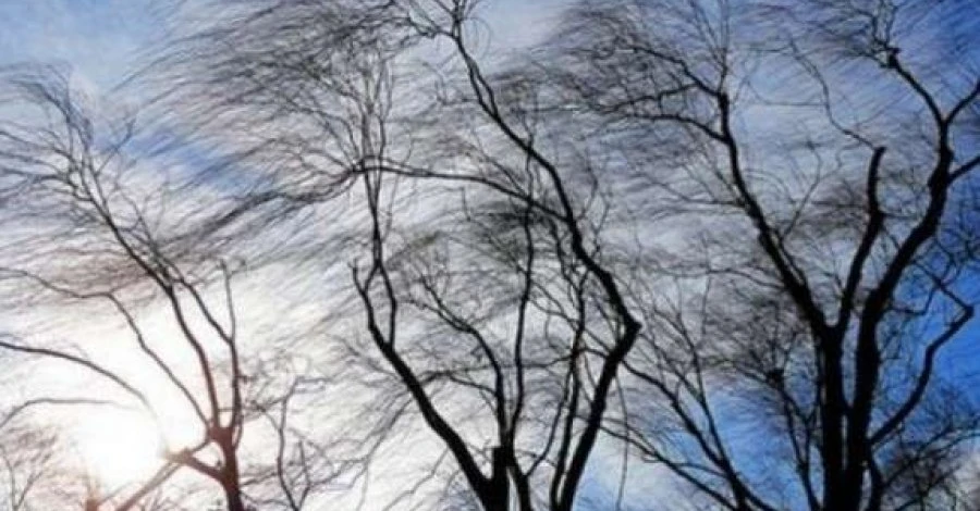 Погода в Украине 3 ноября: синоптики предупредили о шквальном ветре на западе страны