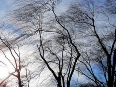 Погода в Украине 3 ноября: синоптики предупредили о шквальном ветре на западе страны
