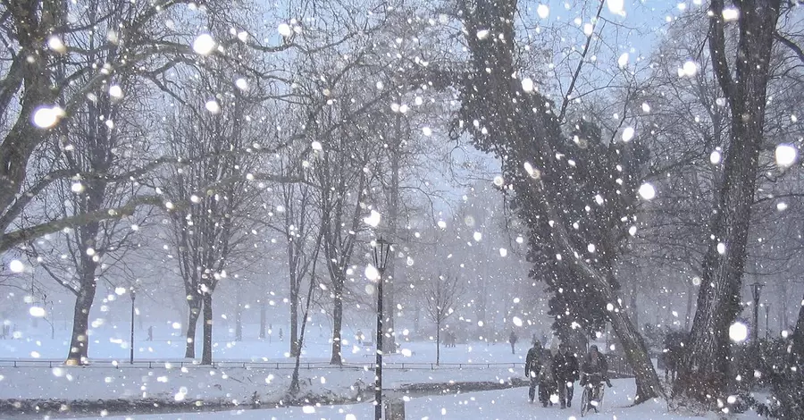 Во Львовской области падает первый снег